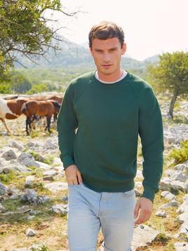 Zielona bluza męska Raglan Sweat Fruit of the Loom