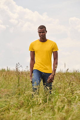 Żółta koszulka męska z czesanej bawełny Iconic rękawem Fruit of the Loom